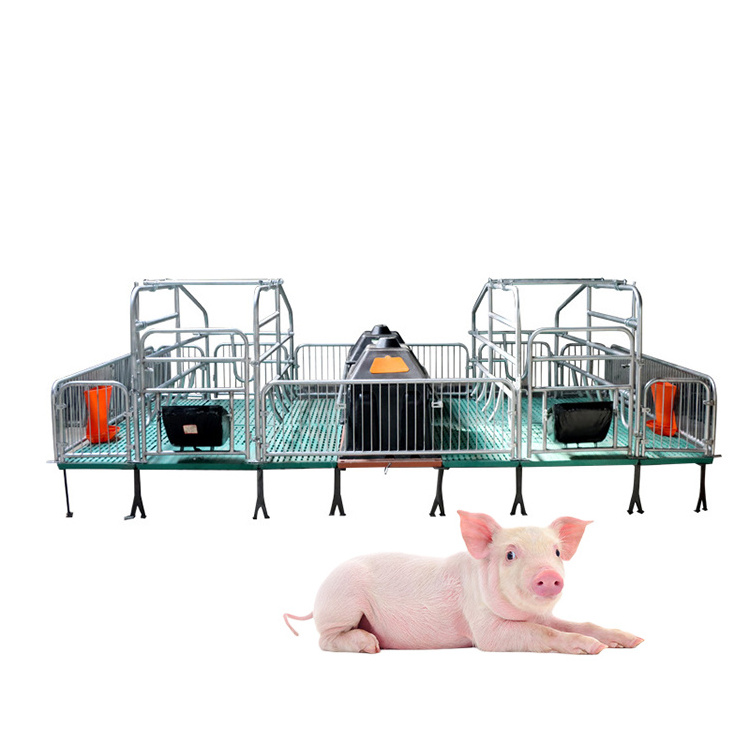 Pig Livestock Farm Equipment Pig Farrowing Crate Pig Farrowing Crate Sow Gestation Bed