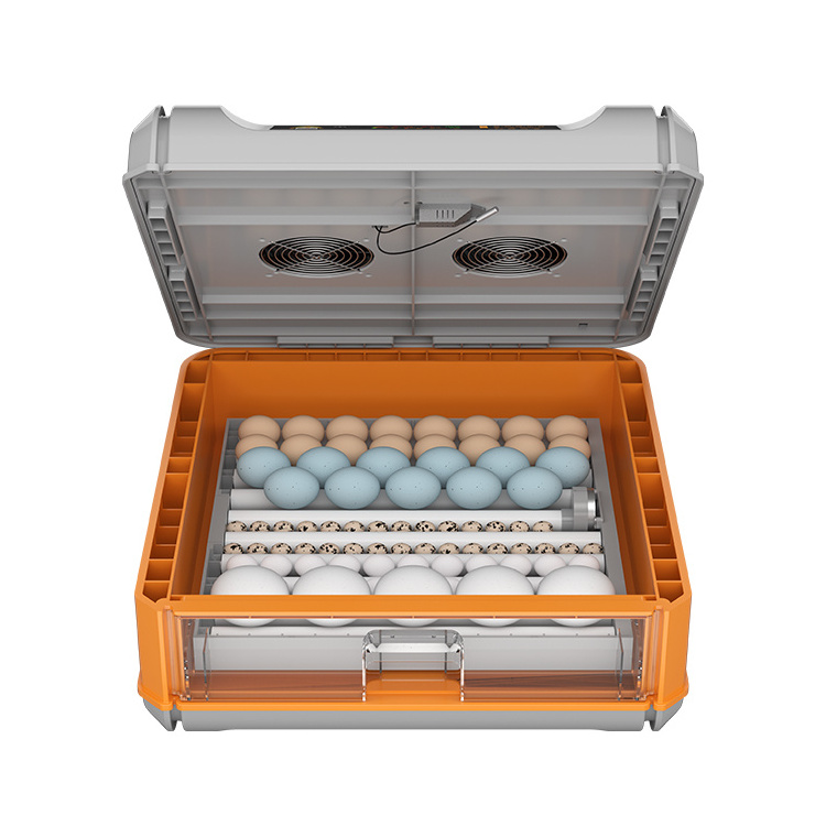 98% Hatching Rate 384 Eggs Capacity Dual Power Energy Saving Automatic Chicken Egg Incubator