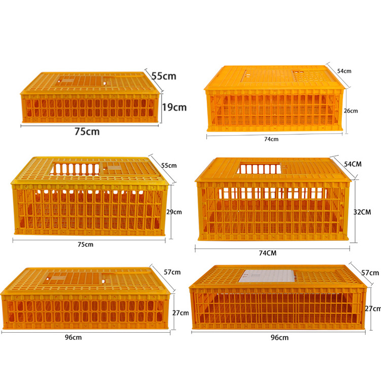 High Quality Plastic Livestock Poultry Chicken Duck Goose Pigeon Transport Cage Crate