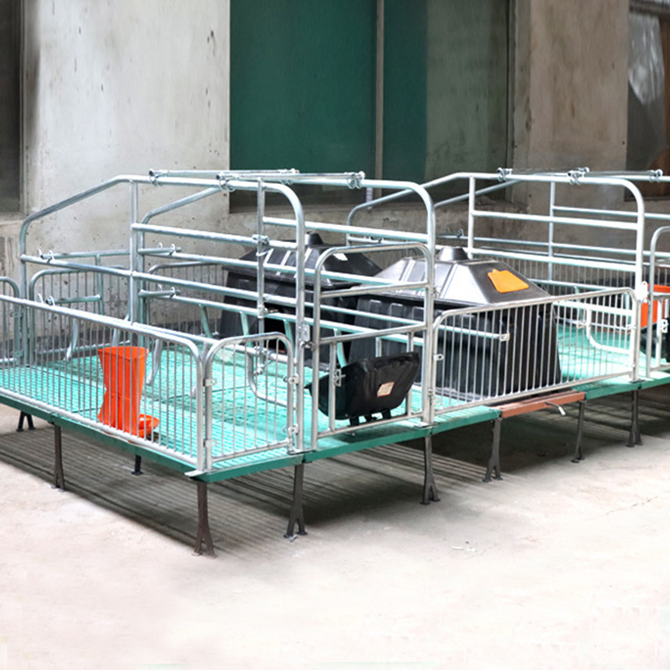 Pig Livestock Farm Equipment Pig Farrowing Crate Pig Farrowing Crate Sow Gestation Bed