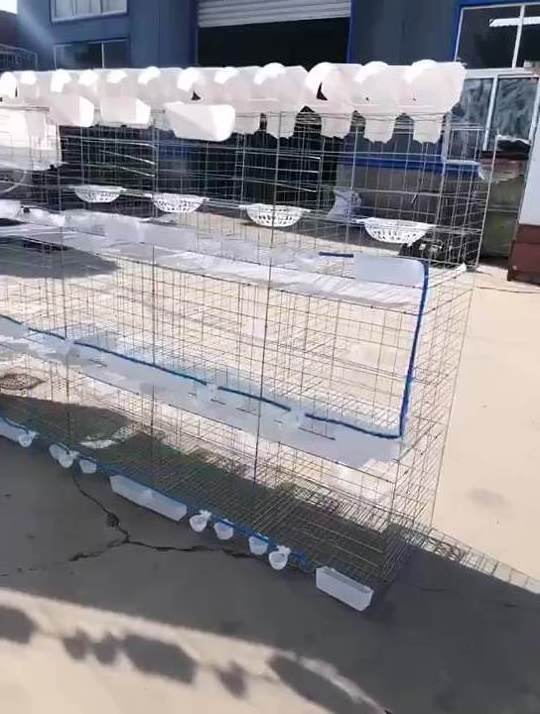 High Quality Pigeon Cage Breeding With Pigeon Accessories For Sale