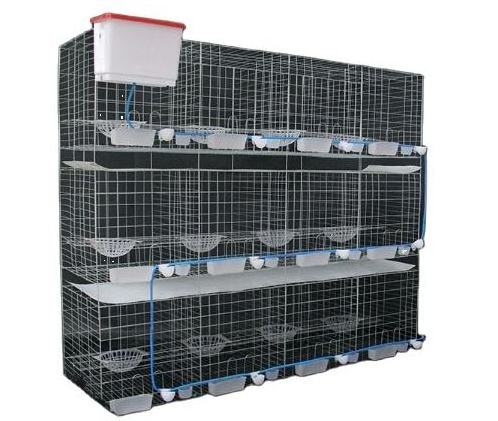 High Quality Pigeon Cage Breeding With Pigeon Accessories For Sale