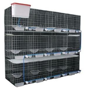 High Quality Pigeon Cage Breeding With Pigeon Accessories For Sale