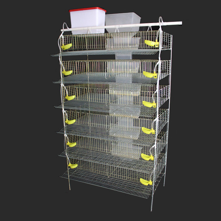 Poultry Farming Quail Brooder Cage Quail Cages For Egg Production Quail Cages For Sale