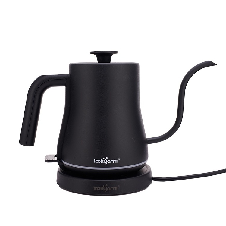 Stainless Steel Gooseneck Electric Kettle for Pour Over or Tea