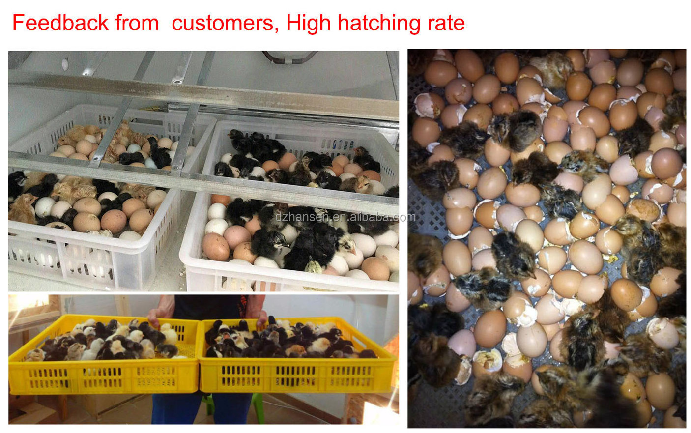 1056 incubators egg hatching machine HS-1056 commercial chicken incubators for sale