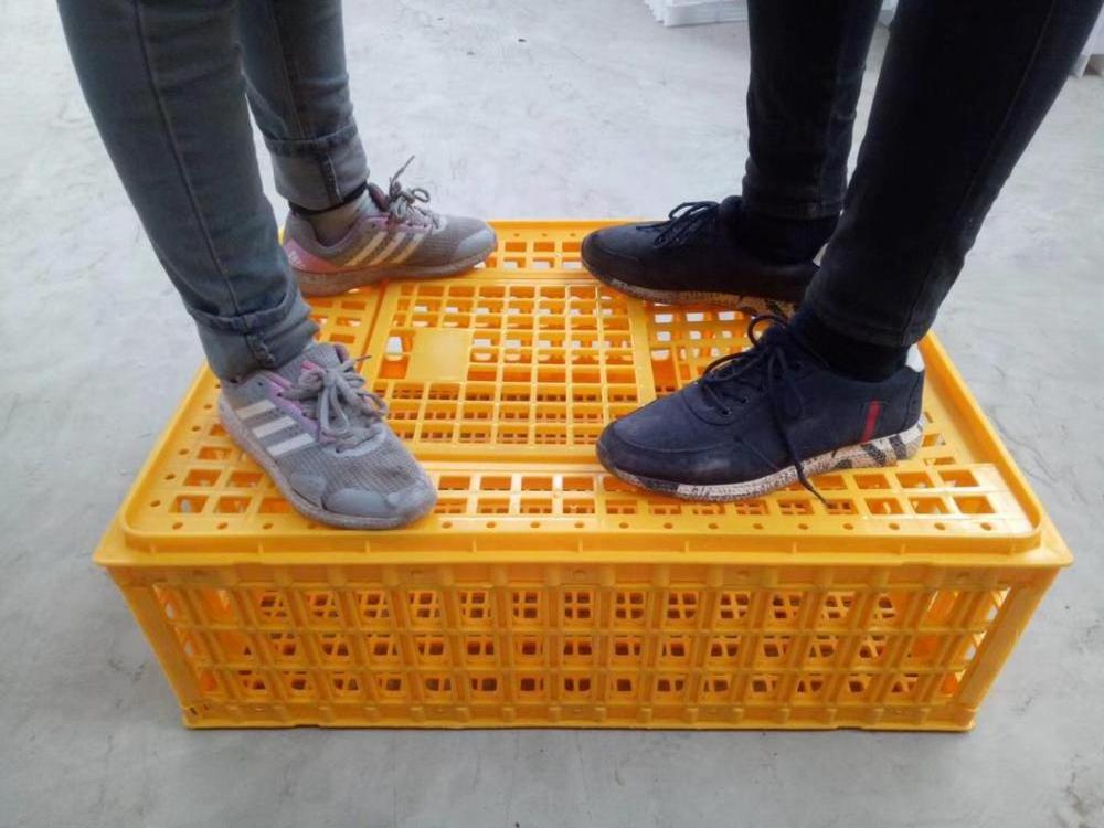 factory directly sale transport cages pigeon transportation cage rabbit transport cages