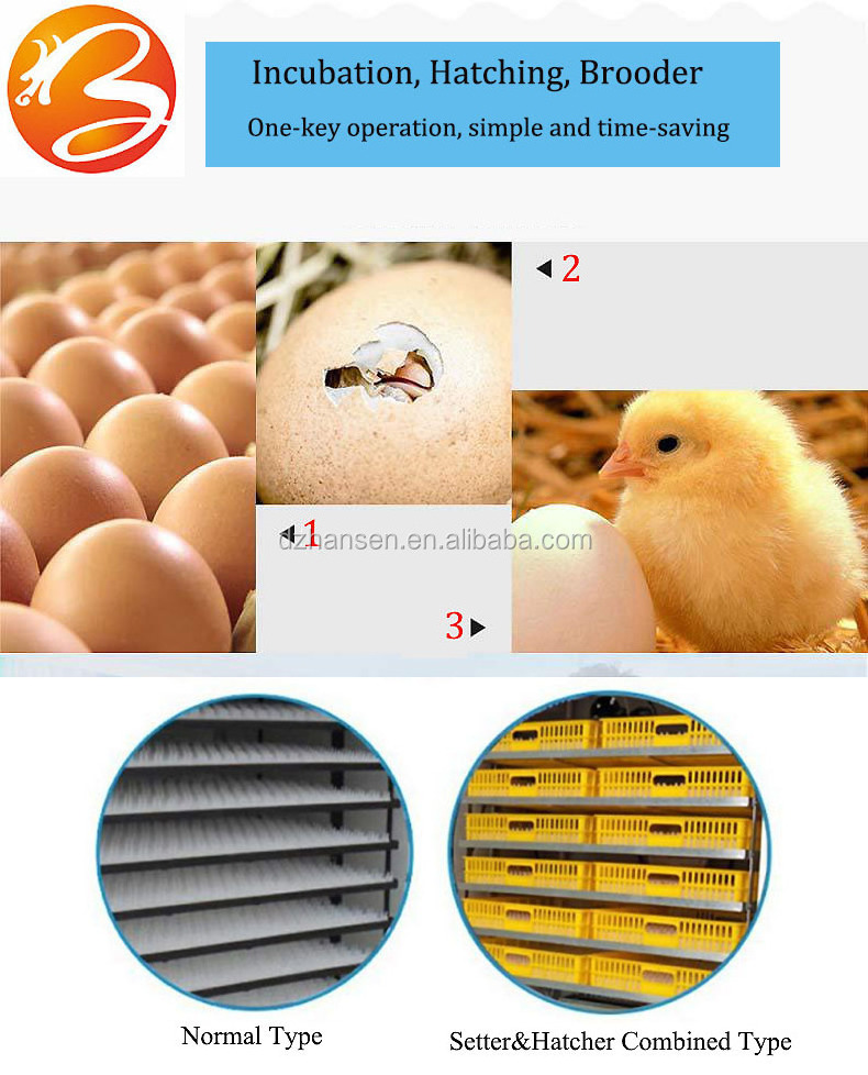 1056 incubators egg hatching machine HS-1056 commercial chicken incubators for sale