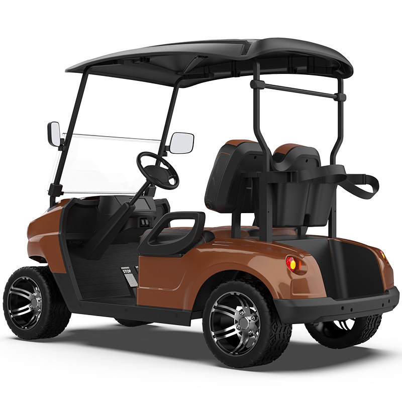 Best 2 4 6 Seater Electrical Club Car Street Legal 4 Wheel Disc Brake Rear Drive Gas VS Electric Push Golf Bag Cart for Sale