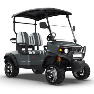 Brand New Designed Motorized Golf Cart with 2 Seaters Disc Brake Personal Street Legal Electric Golf Cart