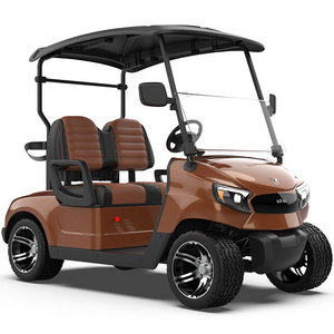 Best 2 4 6 Seater Electrical Club Car Street Legal 4 Wheel Disc Brake Rear Drive Gas VS Electric Push Golf Bag Cart for Sale