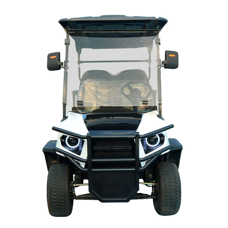 New Customized 5kW Motor Lithium Battery Electric Golf Cart