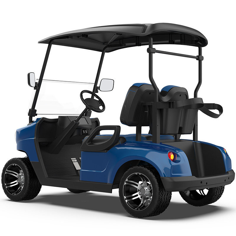 2 Seater Electric Golf Carts Cheap Prices Buggy Car For Sale Power Golf Cart