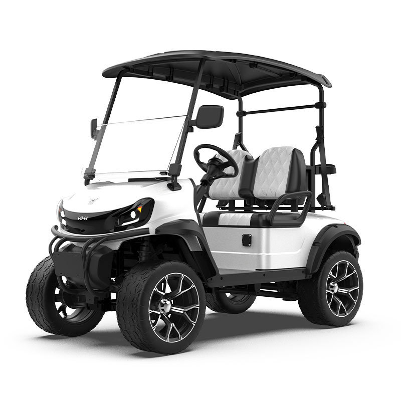 Popular Sale Short Waiting Time Factory Direct 4 Seat Mini Electric Golf Cart