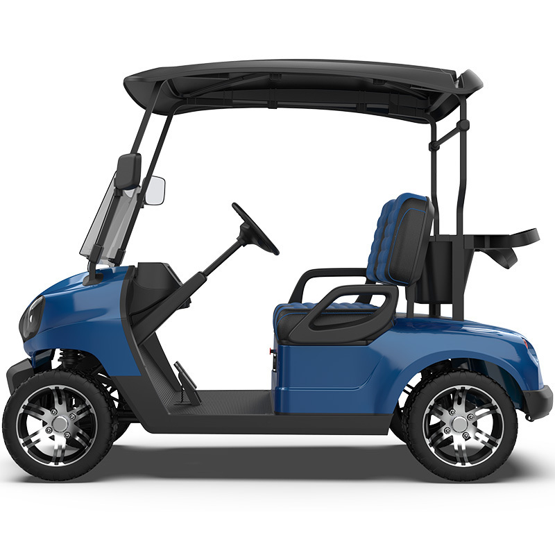 2 Seater Electric Golf Carts Cheap Prices Buggy Car For Sale Power Golf Cart