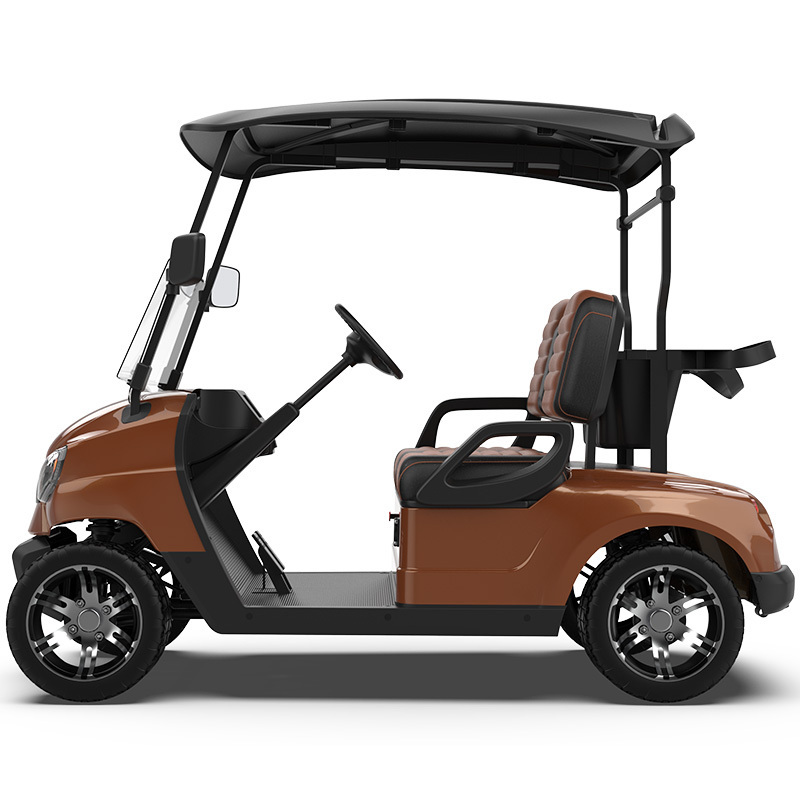 Best 2 4 6 Seater Electrical Club Car Street Legal 4 Wheel Disc Brake Rear Drive Gas VS Electric Push Golf Bag Cart for Sale