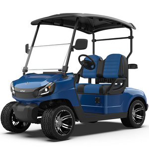 2 Seater Electric Golf Carts Cheap Prices Buggy Car For Sale Power Golf Cart