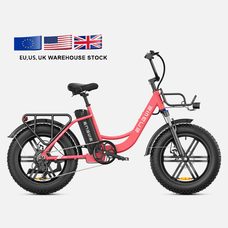 EU US Warehouse Engwe L20 Electric Bike 48v13ah 750/250w 20Inch Fat Tires Go Off-road Electric City Bicycle Step For Ladies