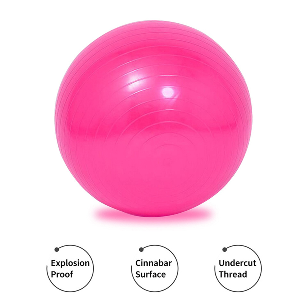 65cm Thick Yoga Ball, Explosion-proof Fitness Balls, Beauty Professional Training Ball with Air Pump and Inflation Needle