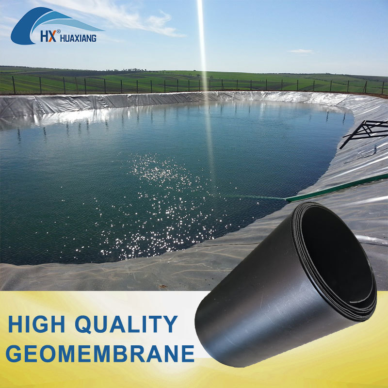 HDPE PVC 1mm Dam Pond Liner Landfill Biodigester Liners Geomembrane