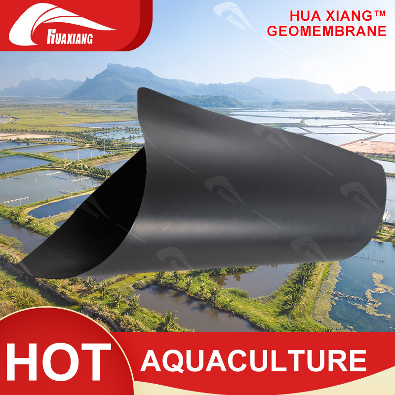 2 mm 1.5mm Geomembrane HDPE PVC Membranes Price 500mil for Landfills