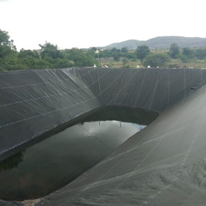 OEM and ODM LDPE & HDPE Geomembrane Liner High Density Polyethylene Waterproof Plastic 0.5mm Pond Liner