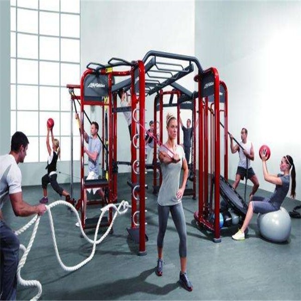 Cross fit Multi Functional Machine Synergy 360 Gym Fitness Equipment