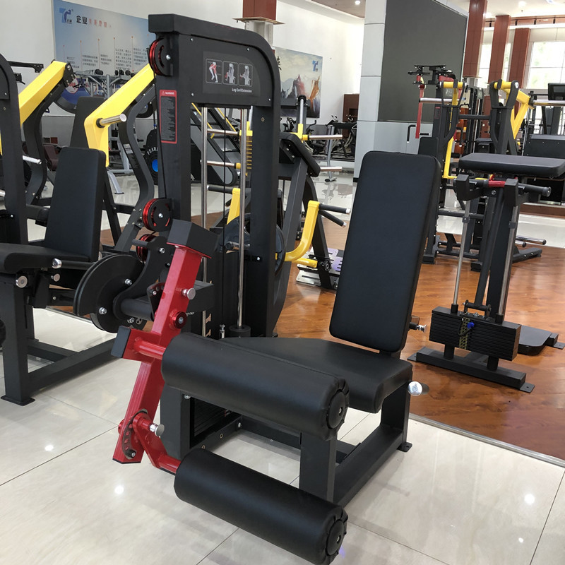 Wholesale price commercial fitness equipment seated gym rotary torso machine for sale