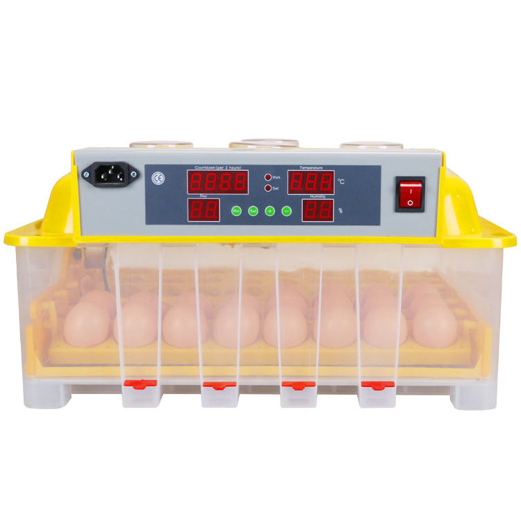 Malaysia Popular Used Poultry Egg Incubator for Sale