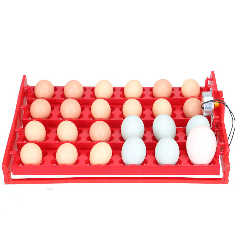 Professional Auto Digital parrot eggs hatching incubator for sale