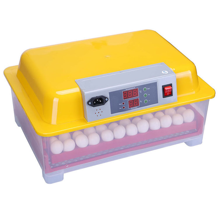 Professional Auto Digital parrot eggs hatching incubator for sale