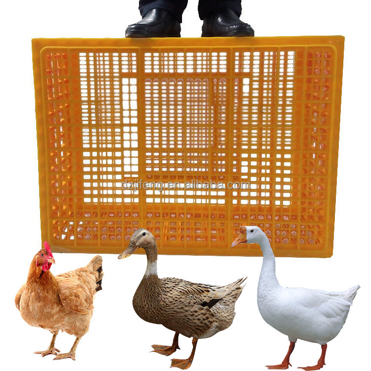 cage transportation cage plastic poultry turnover box basket into chicken duck goose pigeon cage