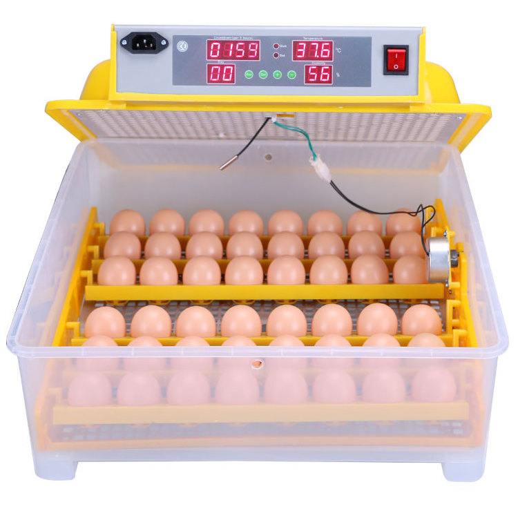 Malaysia Popular Used Poultry Egg Incubator for Sale