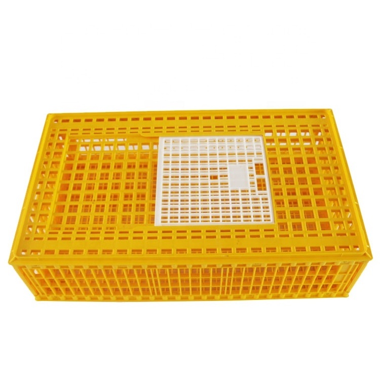 New 100% PE materials turkey crate transport duck plastic poultry chicken cage(whatsapp:0086-18953481991)