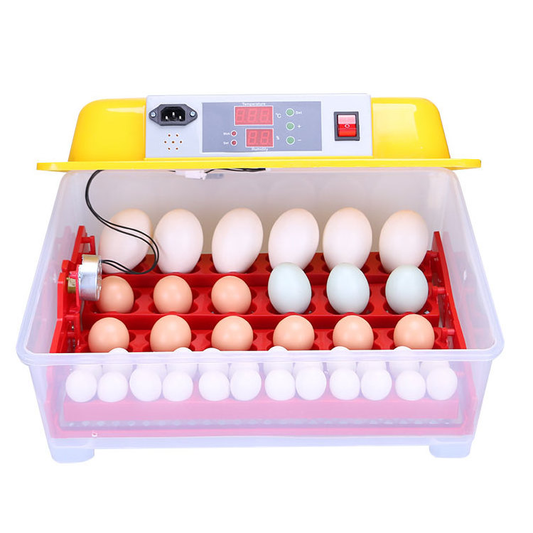 Professional Auto Digital parrot eggs hatching incubator for sale