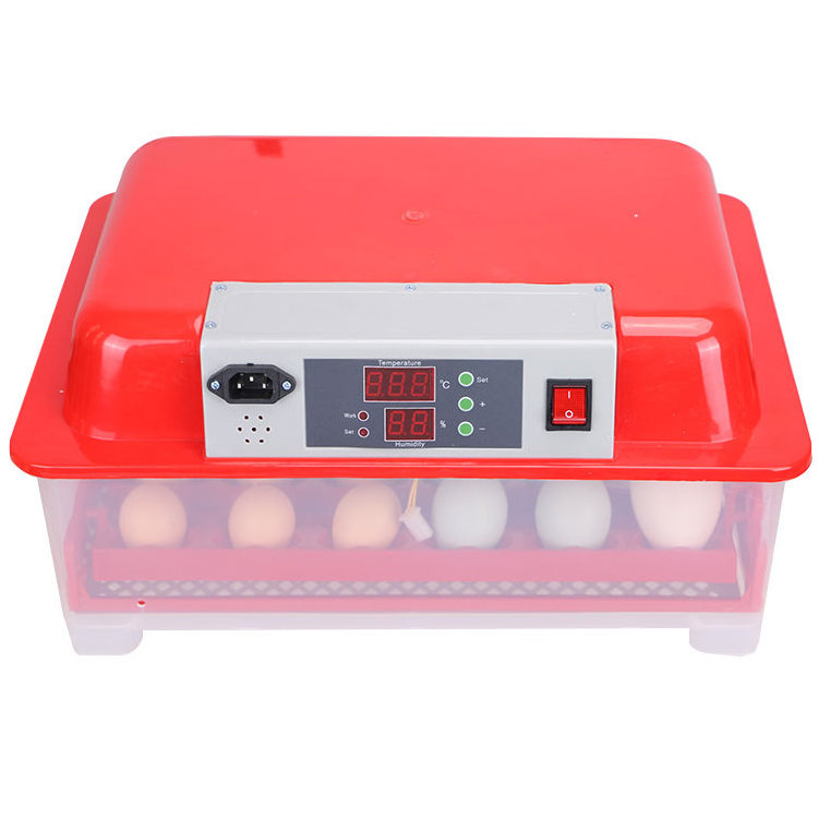 Professional Auto Digital parrot eggs hatching incubator for sale