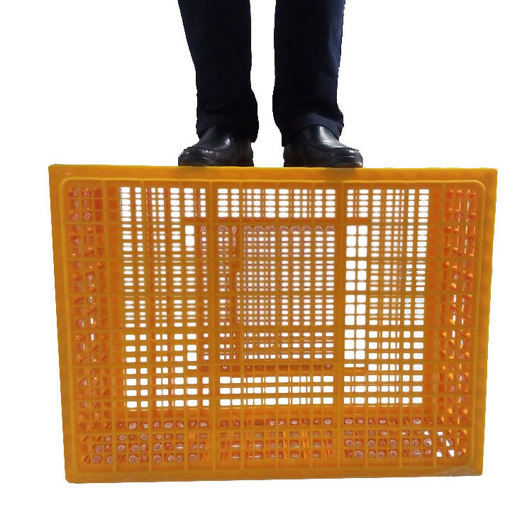 hot sale chicken/broiler plastic transportation crate/cage/box