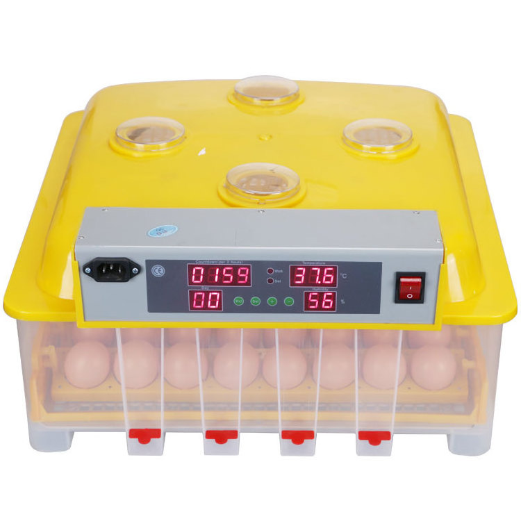 Malaysia Popular Used Poultry Egg Incubator for Sale