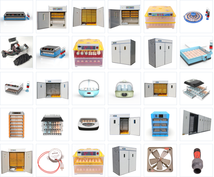 incubators parts cheap price commercial automatic  mini chicken eggs incubator for hatching eggs temperature humidity controller