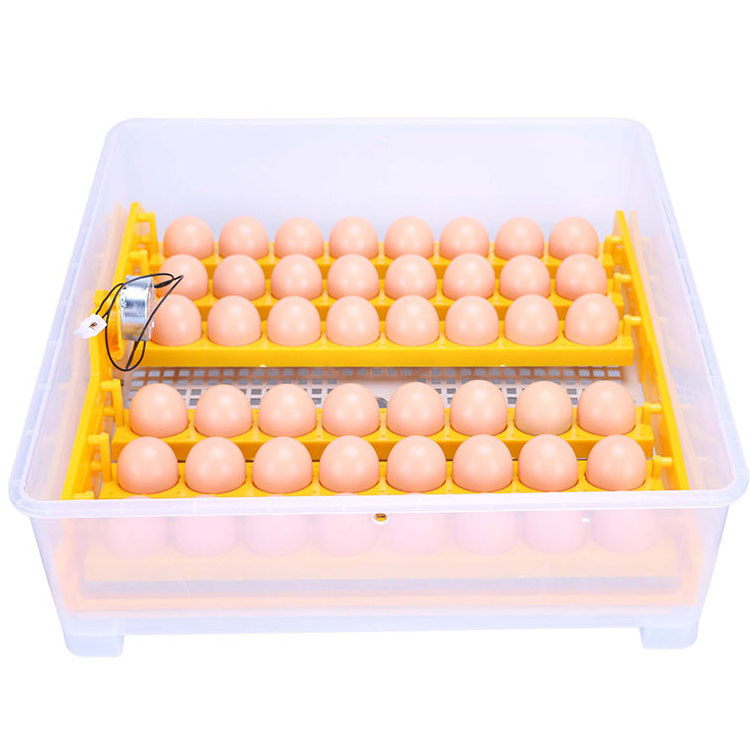 Malaysia Popular Used Poultry Egg Incubator for Sale