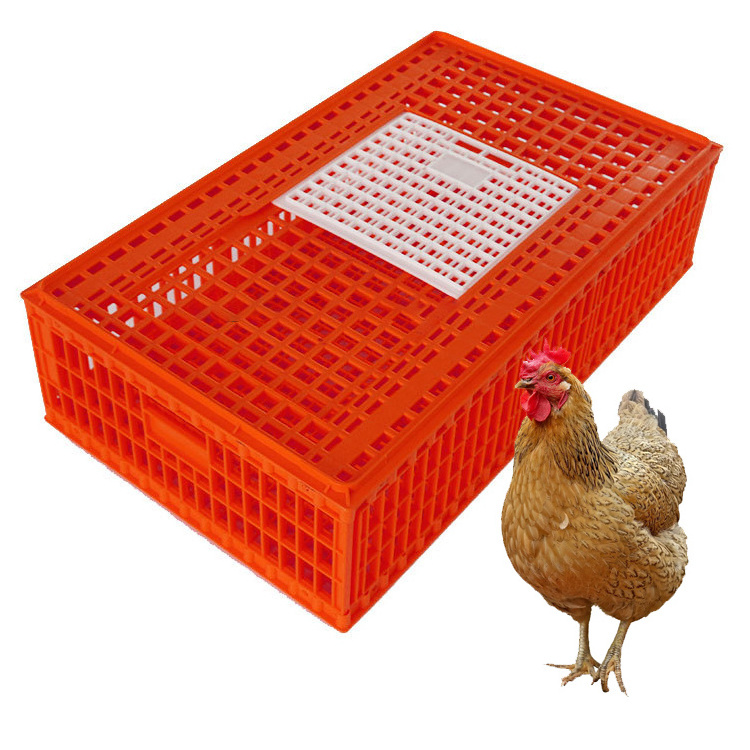 cage transportation cage plastic poultry turnover box basket into chicken duck goose pigeon cage