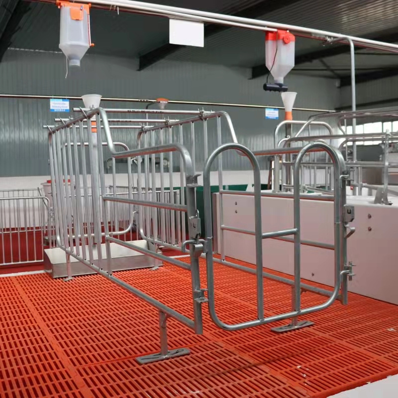 Factory Direct Sales Hot Dip Galvanized Pig Pen Gestation Crates Stalls