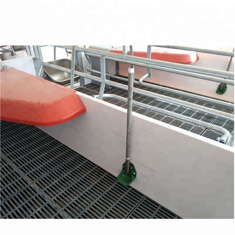 Hot Sale Poultry Farm  Pig Farm Hot-dip Galvanized durable pig farrowing crate