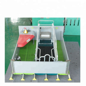 Hot Sale Poultry Farm  Pig Farm Hot-dip Galvanized durable pig farrowing crate