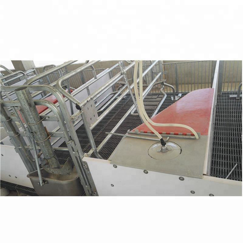 Hot Sale Poultry Farm  Pig Farm Hot-dip Galvanized durable pig farrowing crate