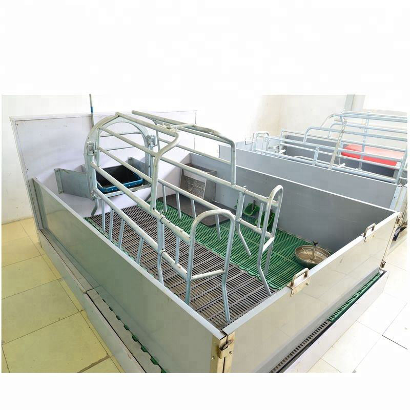 Hot Sale Poultry Farm  Pig Farm Hot-dip Galvanized durable pig farrowing crate