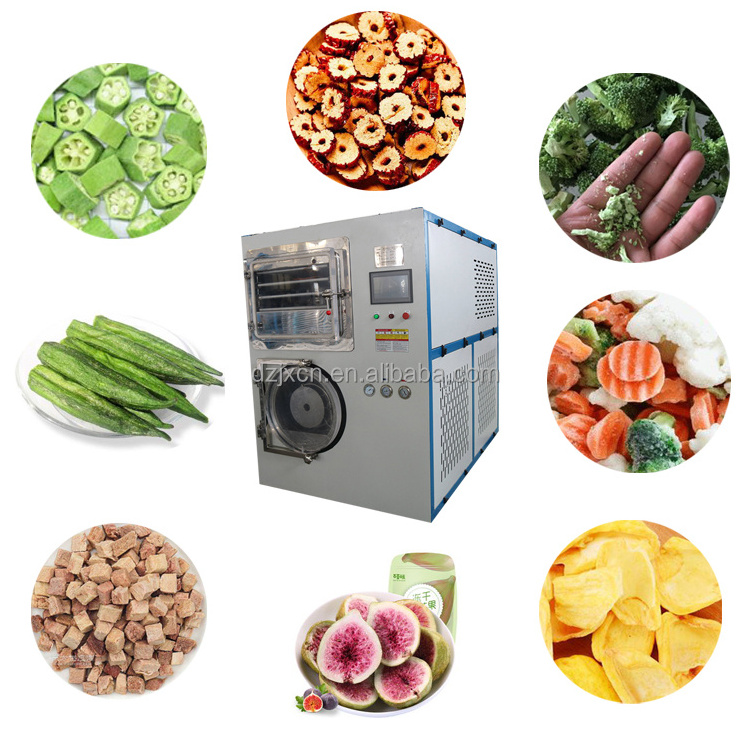 Food Freeze Dryer Machine Vegetable Fruits Drying Machine Low Price  Dryer