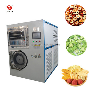 Large Capacity 500Kg Industrial Food Fruit Vegetable Freeze Dry Machine Vacuum Dryer Freeze Drier  Lyophilizer Drying Machine