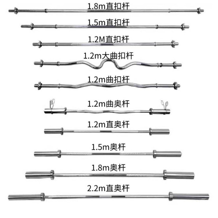 weightlifting  power lifting  standard training  straight curl  barbell bar EZ barbell bar