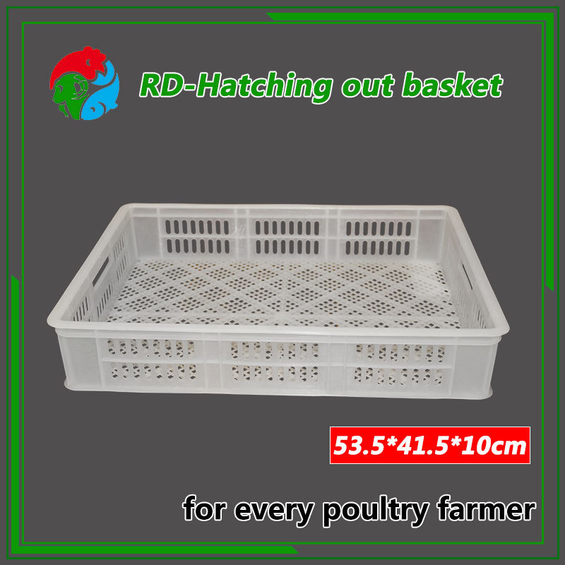 2021 top sale chicken coop pigeon cage for sale plastic transport pigeon cage